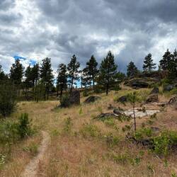 Northrup Lake Trail