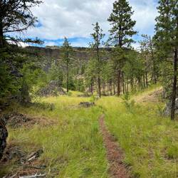 Northrup Lake trail. There was a 1.3 mile section that was very uphill!