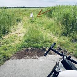 Wenn der Radweg in ein Moor endet 🤷🏼‍♀️🙋🏻‍♂️