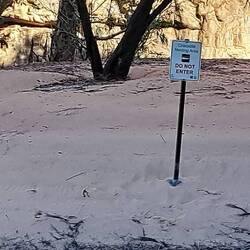Brutplatz der Süsswasserkrokodile, die schon bald die Eier in den Sand legen