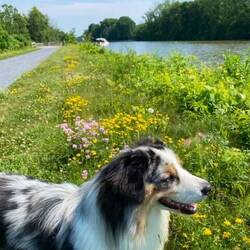 Break at lock wall while I was in meeting. Road is the Empire State Trail.