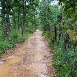 Muddy trail to Foncebadon.