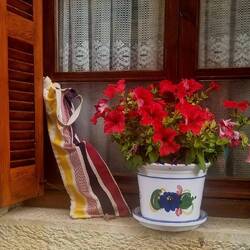 In this village, everyone had these colourful bags they leave outside for their baguette delivery