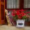 In this village, everyone had these colourful bags they leave outside for their baguette delivery