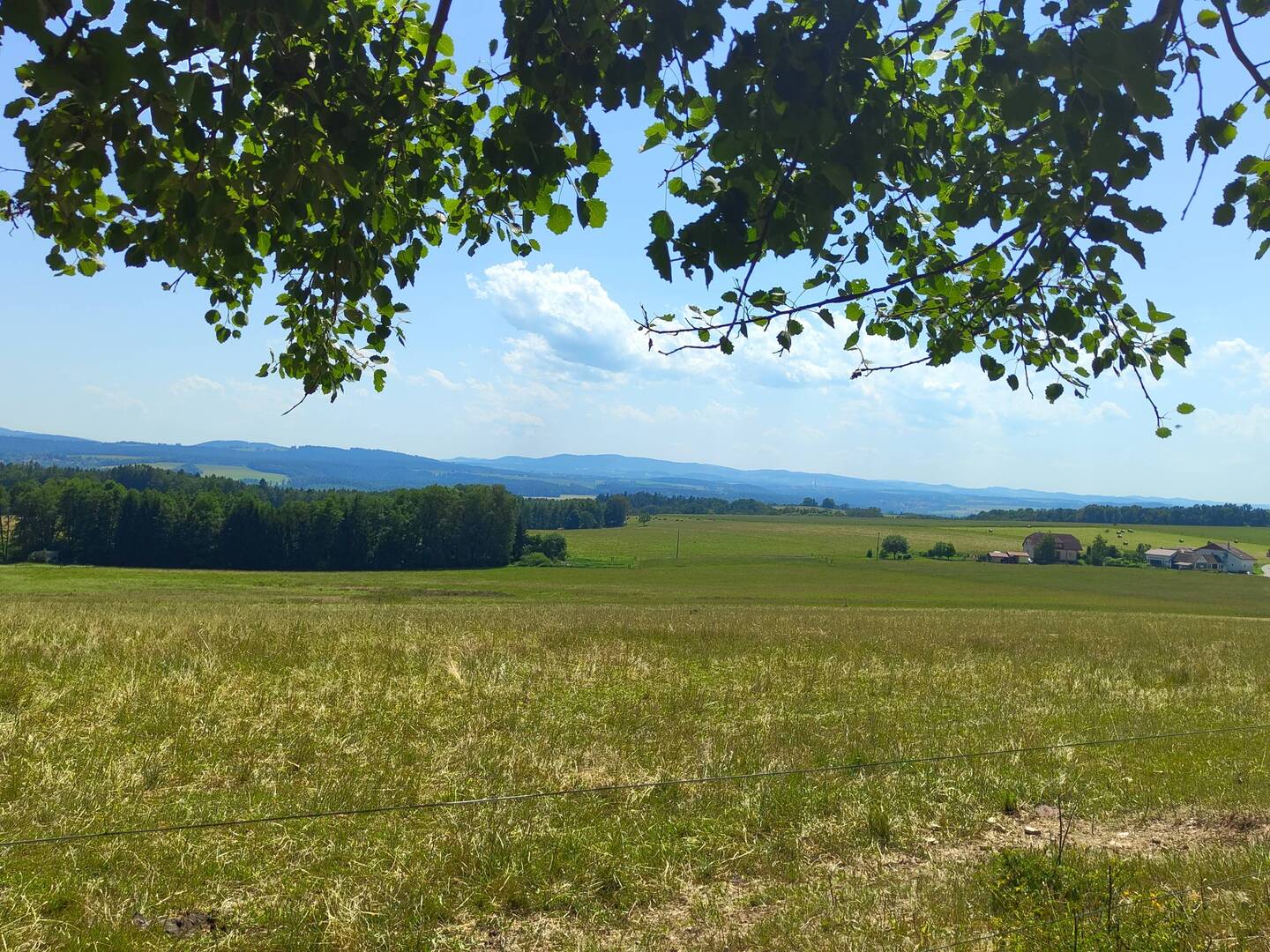 Dort sieht man die Berge des bayrischen Walds! Das steht mir noch bevor.