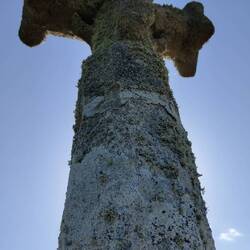 Compagnons (Suite) : Les vielles marseillaises, Les Faux jeunes Et Jésus...