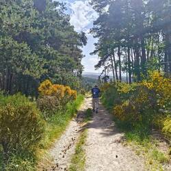 Compagnons de Chemin: Miss 43, Monique Canadienne fatiguée, L'Americaine perdue, Les Autrichiens