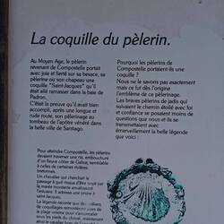Petite explication : Pourquoi marche t-on avec une coquille ?