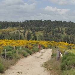 Compagnons (Suite) : Les campeuses du café, Gavroche la blanche, La borgne Decathlon, Miss ampoule