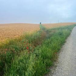 The expansive Meseta...