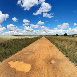 The Meseta never seems to end