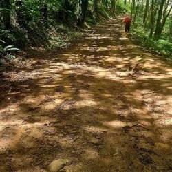 I'm loving the paths with dappled sunlight
