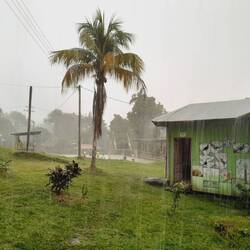 Es regnet wie aus... Gießkannen? Eimern? Nee, wohl eher wie aus Fässern!