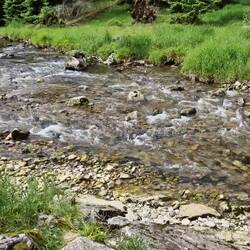 LAUT STELLEN !!! BIRGIT MUSS DANN IMMER PIPI