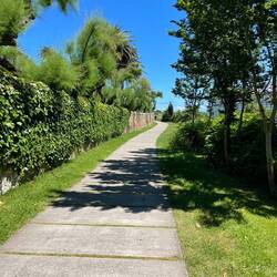 A sophisticated pathway out of El Sardinero