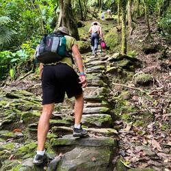 Die steilen Stufen am Schluss hinauf zur Cuidad Perdida