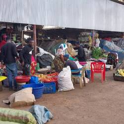 Bags of produce up to 100kg loaded onto shoulders for relocation. No forklifts.