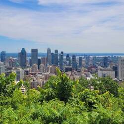 Montréals Skyline vom Mount Royal
