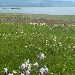 Flowering meadows and Tabaskuri lake.