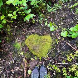 Ein 💚 auf dem Weg