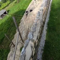 Selbst den Ziegen war das Wetter zu blöd