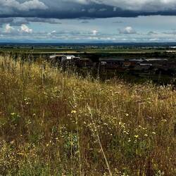 Headed into Religiosa