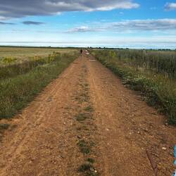 The Meseta - you can checkout but you can never leave!