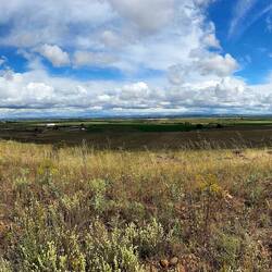 Trying to capture the vastness of the Meseta