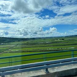 Reisfelder unterwegs