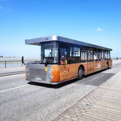 2 mal vorne Bus
