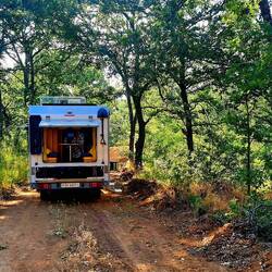 1. Stellplatz im Wald mit Schatten
