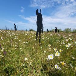 British Normandy Memorial