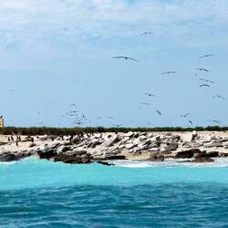 Lacepede Islands — Kimberley, WA.