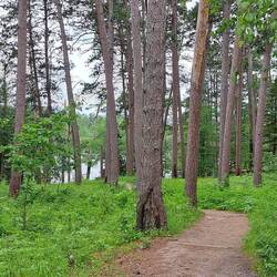 Preachers Grove