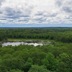 The eastern view from the Aiton Heights Lookout Tower