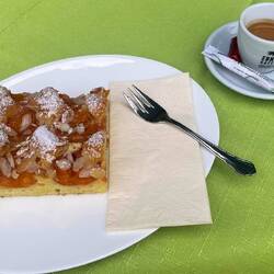 Margrith's erster Marillenkuchen!