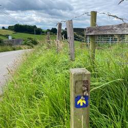 So happy to see these arrows!