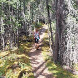 Mineral Lick Trail