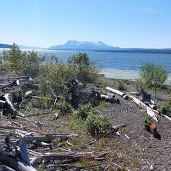 Teslin Lake