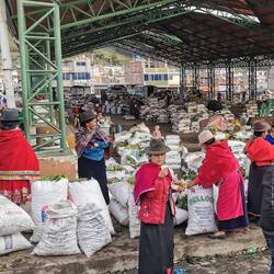 Trubel am Morgen - letzte Vorbereitungen für den Markttag