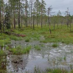 Schöne Wanderung vom Stadtrand in das Wintersportgebiet.