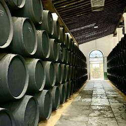 Barrel room. 4000 barrels are stored in this one building.