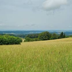 Viewpoint Neunkirchen: Bei guter Sicht wäre die Skyline von Frankfurt zu erkennen!