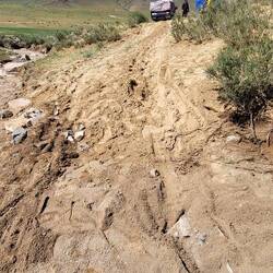 Nach der Bergung - hier ist er hängen geblieben