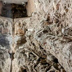 Human remains uncovered in the crypt below the cathedral
