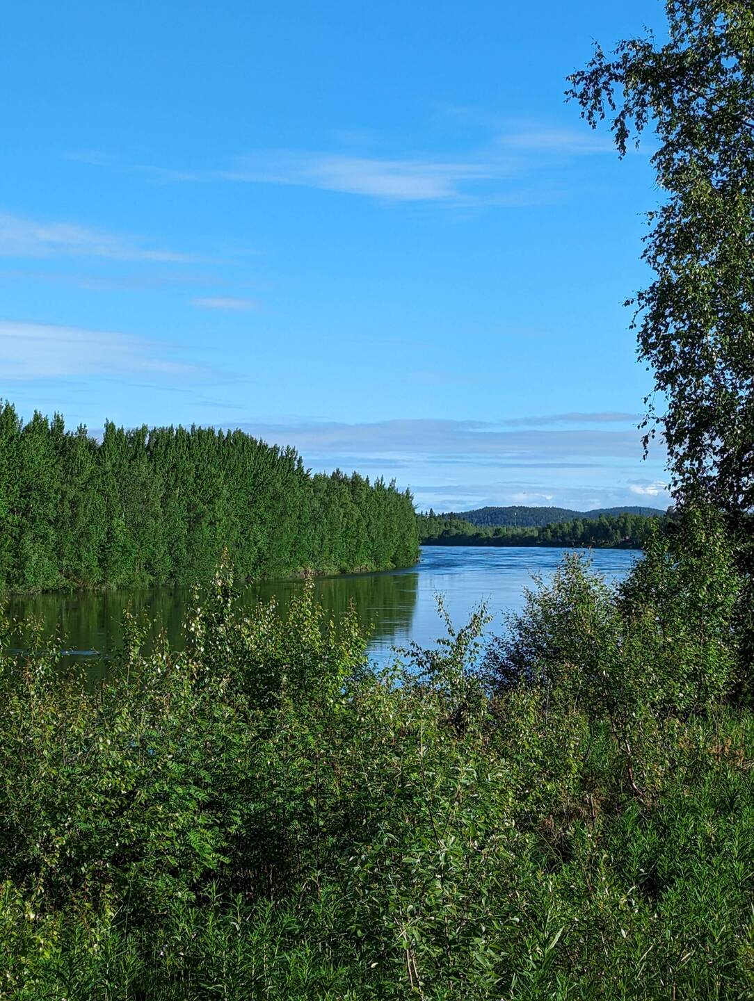 Blick auf den Ivalo River