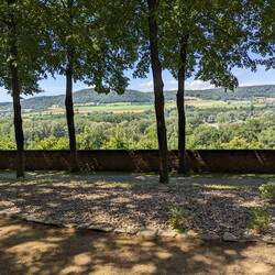 Lovely shady areas with a view of the river
