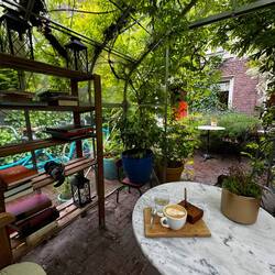 We sipped coffee inside of this green house in the rain.