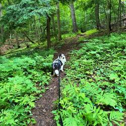 Split Rock Mountain palisade hike