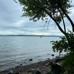 Molly Brown on stand-by